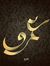 Amr Gamal