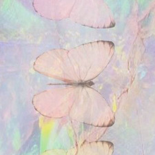 HaileysmovingLibrary