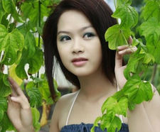 Ai Lung Nguyen