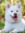 member photo member photo