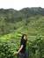 Aireen