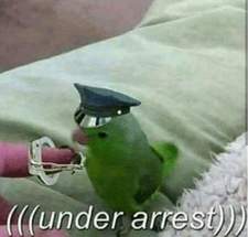 Szymon Kołodziejczyk