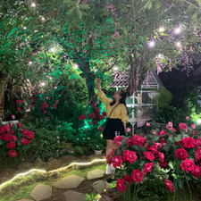 Chloe Nguyễn Hoàng