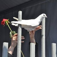 طبيبة الأقصى