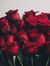 Khawla Yal
