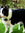 member photo member photo