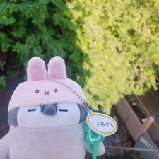 Polarbe ʕ •ᴥ•ʔ