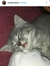 Cathlea...