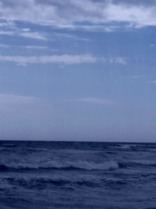 Света Рябинина