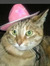 Casie W...