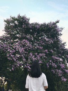 Tinh Linh