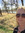 Robyn Devine | 14 comments