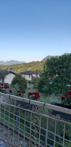 Giuseppina Irma Trotti