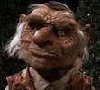 thehoggle