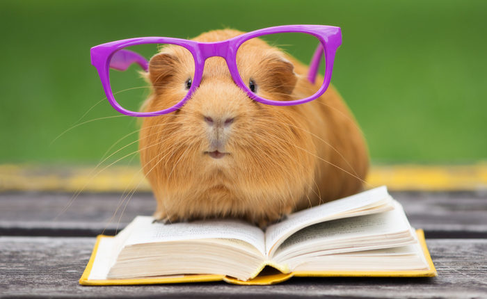 Goodreads profile picture for @gloomy