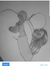 Aseel