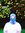Johann Stark | 2 comments