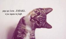 Μάνος Κομπάνης