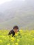 Vishal Das