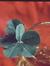 Delia Featherston