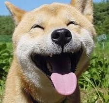Hai Do