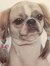 Emily S...