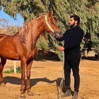 Mohab Mamdouh