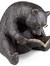 Oso Negro