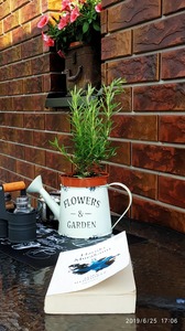 Asta Žeimių Biblioteka