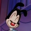 Yakko