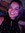 Samantha | 3 comments