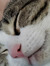 Clem