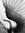 Emeline...