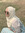 frikelovato | 1 comments