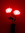 flwr (flwer) | 334 comments