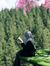 Aliyah R. ✿