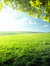 Green Pastures