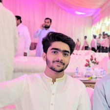 Anees Jamali