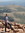 Elsabet