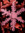 Nicholas | 3 comments