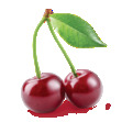 CherrySherry