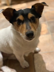 Justine &#x1f98a;&#x1f342;