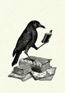 Raven Burns