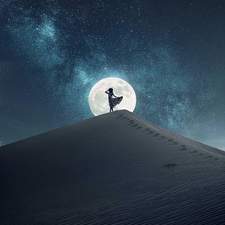 مى عبد الحفيظ