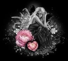 Deb Ailshire