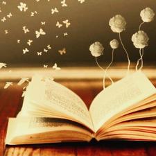 Perdidaentremillibros