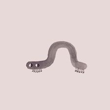 Little Worm
