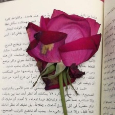 ياسمينا سامى