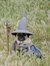 Raven Chanson