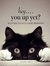 Cati Cat